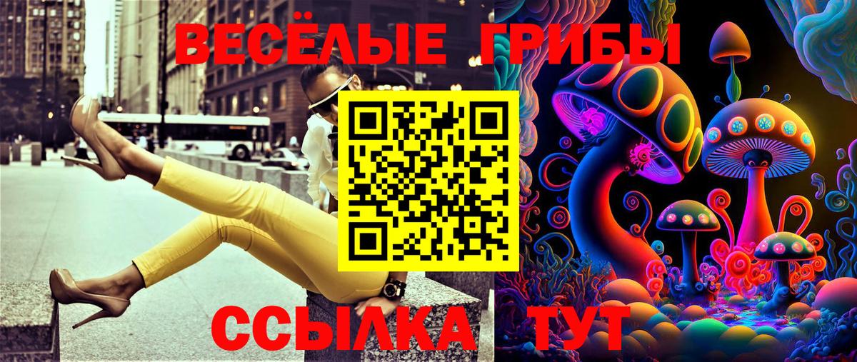 Псилоцибиновые грибы Magic Shrooms Скопин